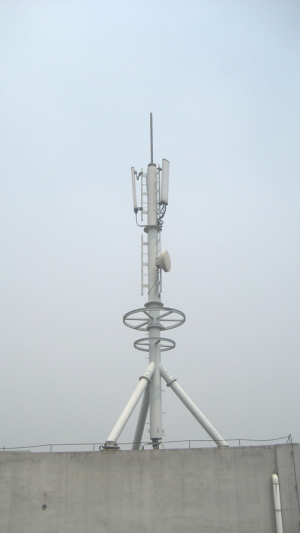 楼顶10米12米15米通信杆塔采购批发